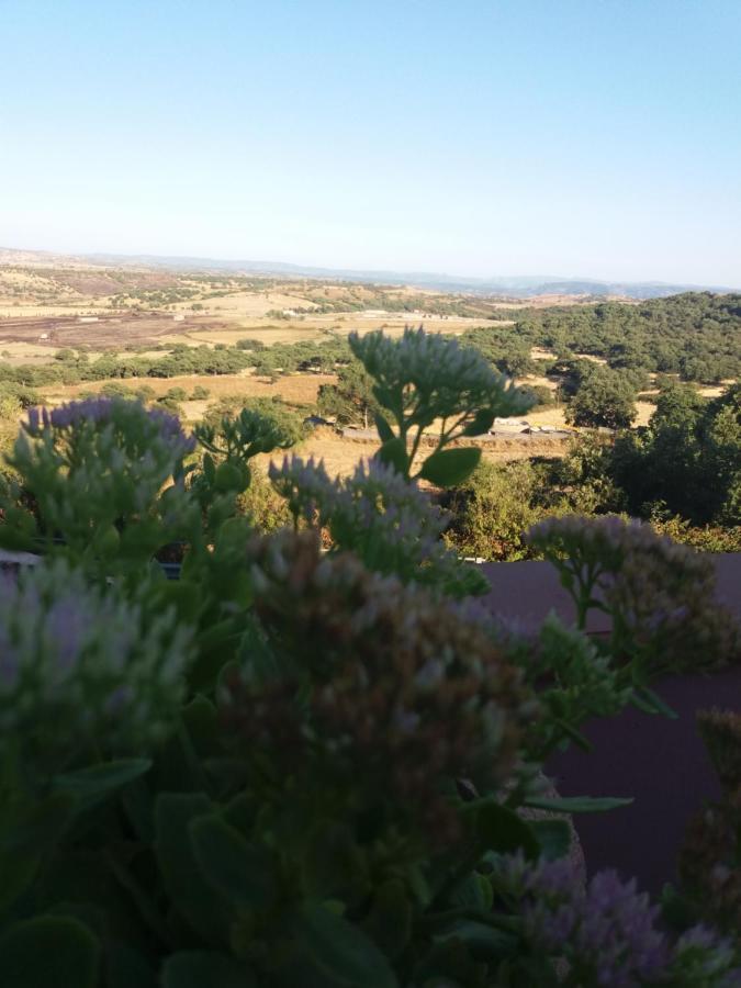 Belli Come Il Sole Serri Exterior photo